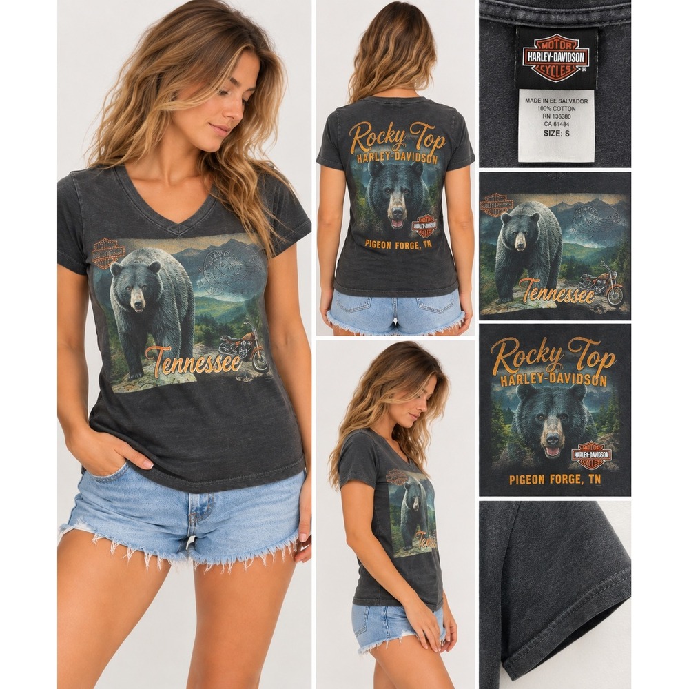 Harley-Davidson Rocky Top Pigeon Forge TN Bear Graphic T-Shirt Small Gray